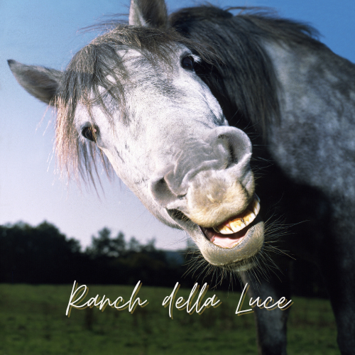 Ranch della Luce - Cavallo Felice