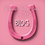Ranch della Luce - News e Blog