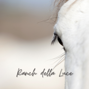 Ranch della Luce - Occhio del Cavallo