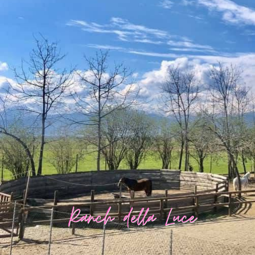 Ranch della Luce - Lavoro in Tondino