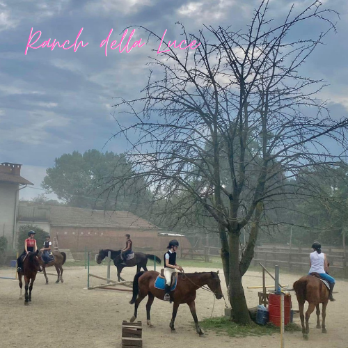 Ranch della Luce - Lezione in Campo