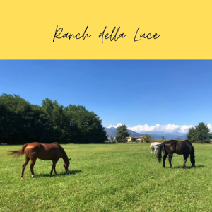 Ranch della Luce - Pace e Libertà